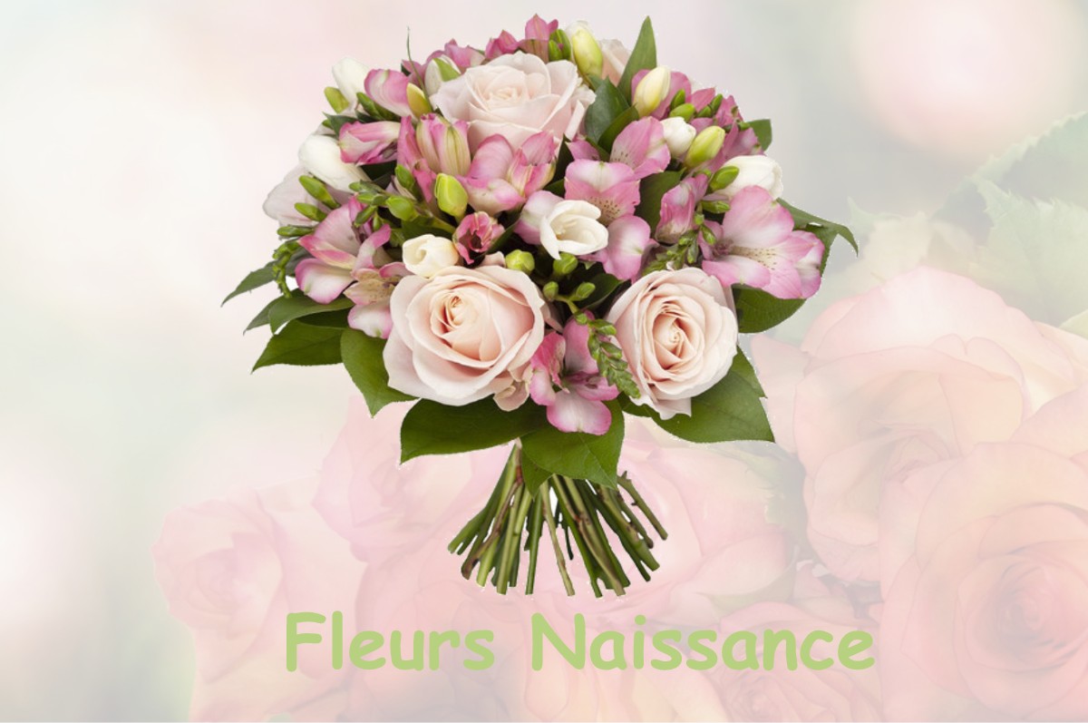 fleurs naissance SAINT-MARTIN-DE-BOSSENAY